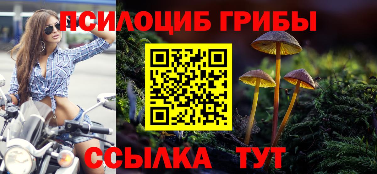 Приморско-Ахтарск  цены наркотик  Псилоцибиновые грибы прущие грибы  Вход с VPN  Галлюциногенные грибы Psilocybe 